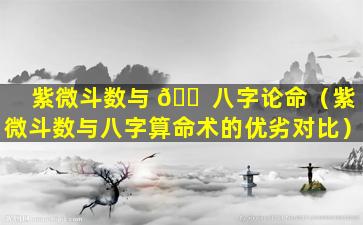 紫微斗数与 🐠 八字论命（紫微斗数与八字算命术的优劣对比）